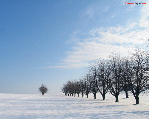 46980 (a): :1280x1024